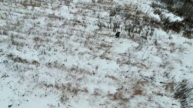 Красное Дерево — «Дроны» смотреть онлайн