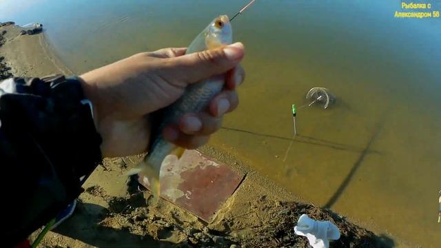 Рыбалка 20-21 июня. смотреть онлайн