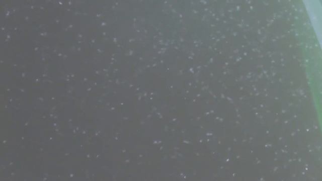 Небольшой анонс Эксперимент с дафнией Моина (сухая, заморозка, получение эфипий) смотреть онлайн