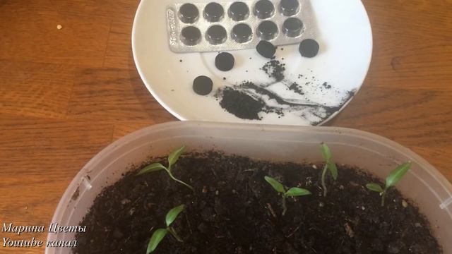 Активированный уголь . Срочная помощь от черной ножки ... смотреть онлайн