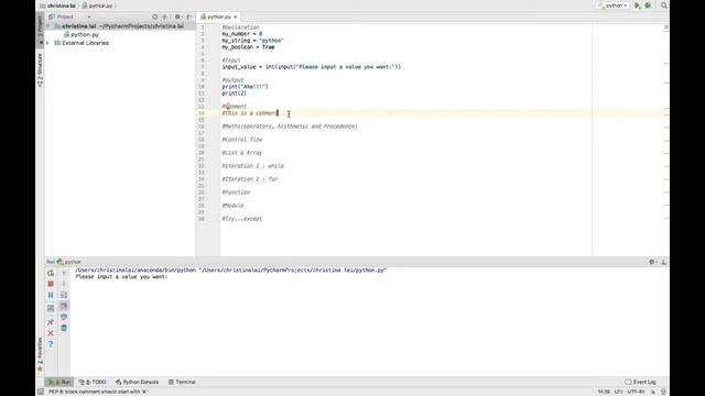 Learn python in 20 minutes (Part 1) | Detailed | Christina L смотреть онлайн