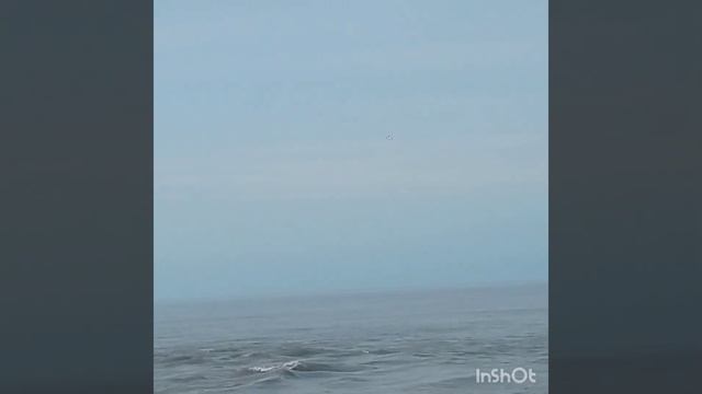 Работа спасателей на пляже 