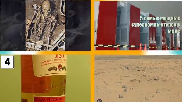 ТОП 10 САМЫХ СТАРЫХ ДЕРЕВЬЕВ НА ПЛАНЕТЕ смотреть онлайн