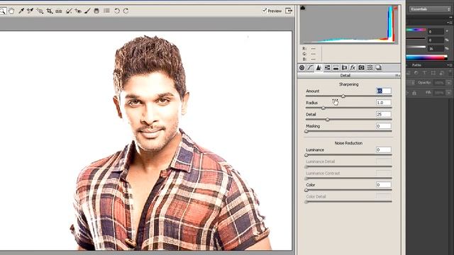 Working with Camera Raw in Photoshop ( in Tamil ) смотреть онлайн