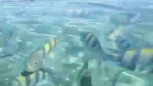 Египет Sol Taba смотреть онлайн