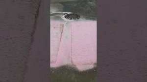 мойка ковра на самомойке