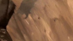 Как не дать воде затечь в гараж