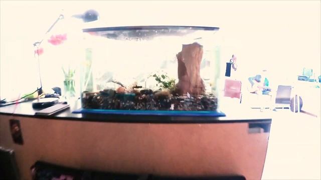 В гостях у Марины Булат. Студия Малая Медведица. смотреть онлайн