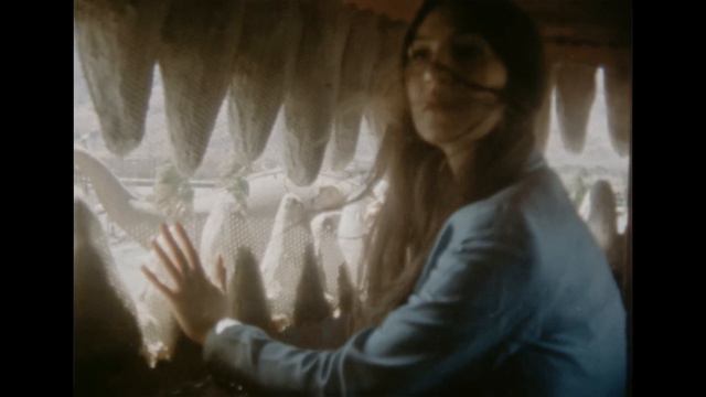 Weyes Blood - Used To Be [Official Video] смотреть онлайн