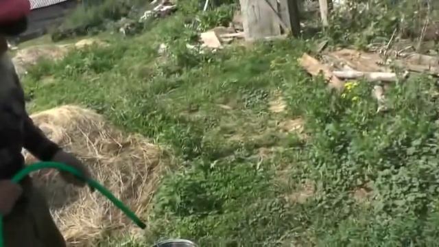 Нашлась лошадь-красавица. 30. 06. 2020 смотреть онлайн