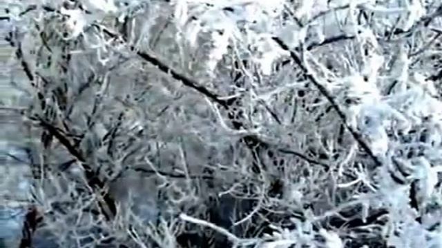 Копия видео ""С НАСТУПАЮЩИМ НОВЫМ ГОДОМ !!!"" смотреть онлайн