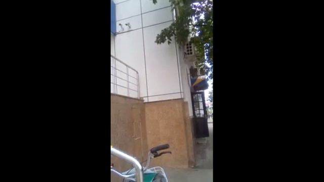 Сообщение в полицию на незаконные действия сотрудников банка ВТБ смотреть онлайн