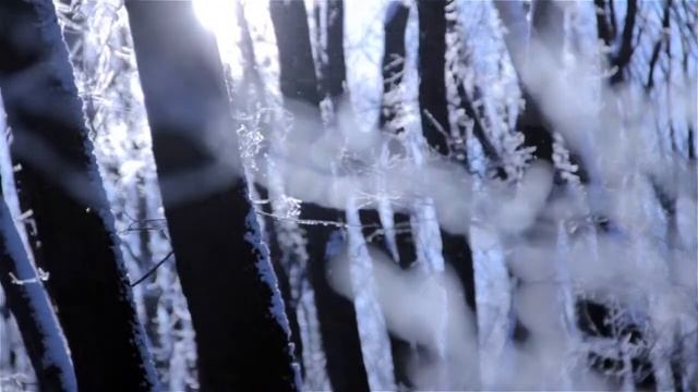 услышать тишину зимы... смотреть онлайн