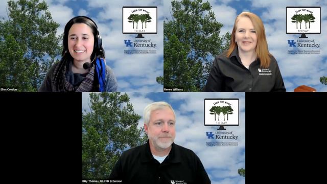 What are Invasive Plants? - From the Woods Today - Episode 82 смотреть онлайн