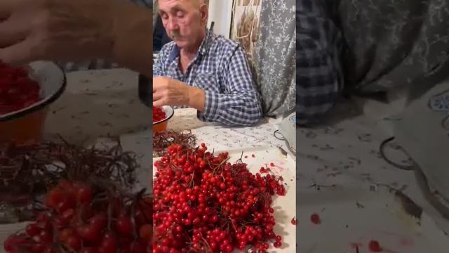 калина с медом на зиму смотреть онлайн