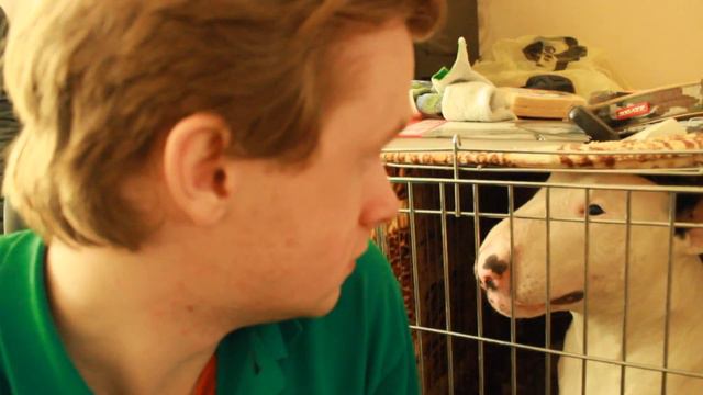 Моя поездка в Днепропетровск. Часть первая. #VLOG смотреть онлайн