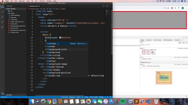 #29 CSS - Borders [HTML, CSS, Flexbox , Bootstrap Eğitim Dersleri ] смотреть онлайн