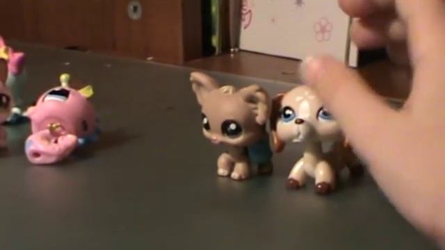 LPS: Жизнь Шпицы #1.mpg смотреть онлайн