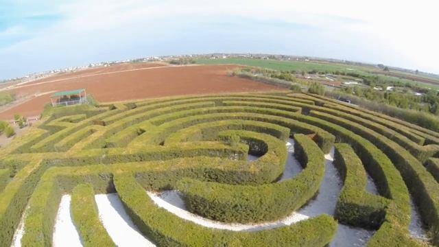 CyHerbia - The Maze смотреть онлайн