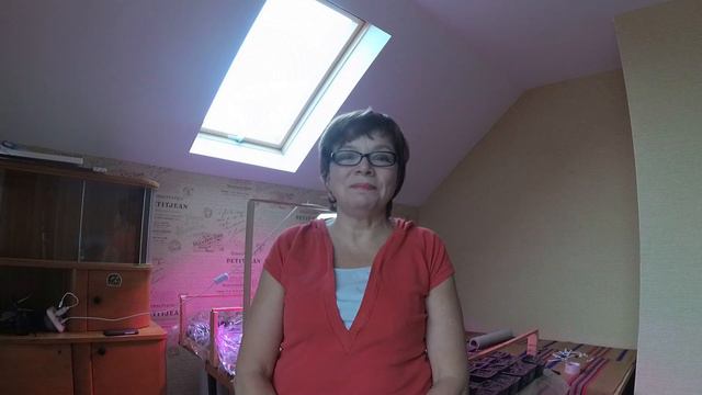 Посадка колеусов и фиалок. Приехали гости. Вспоминаем счастливое босоногое деревенское детство. смотреть онлайн