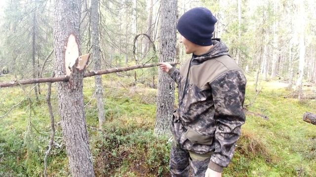 Охота на рябчика дедовским способом смотреть онлайн