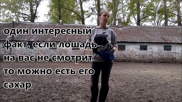 ВОПРОС-ОТВЕТ/Таня конник и Эффект/2020 смотреть онлайн