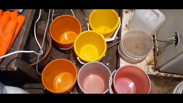 Морозное утро// яблочный уксус для кур... смотреть онлайн