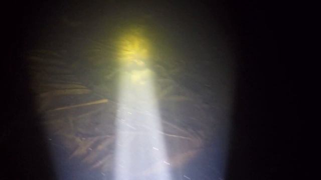 Предновогодняя подводная охота смотреть онлайн