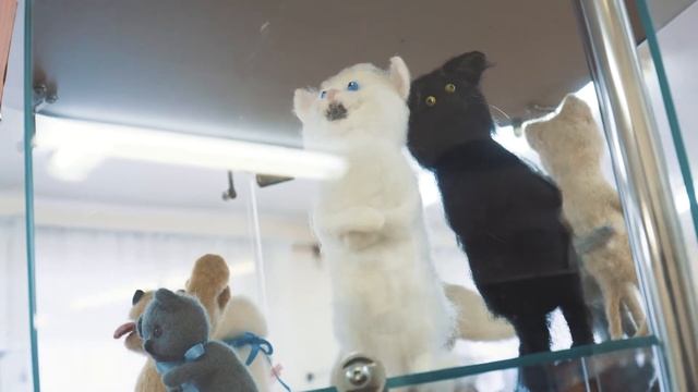 Выставка кукол «Игрушечный привет из СССР» смотреть онлайн