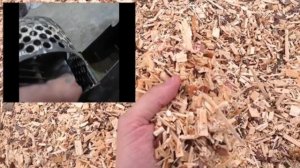 щепа для арболита  своими руками