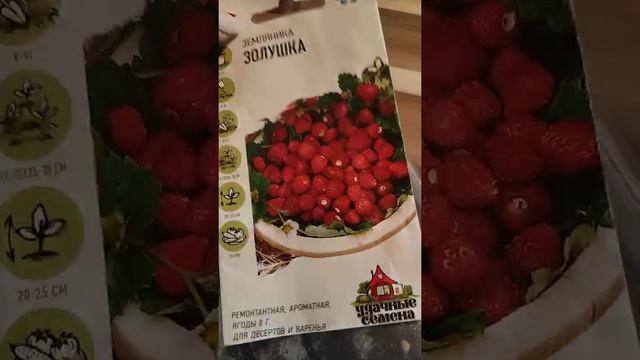 Посев земляники. Часть 2.Обзор этажерки. смотреть онлайн