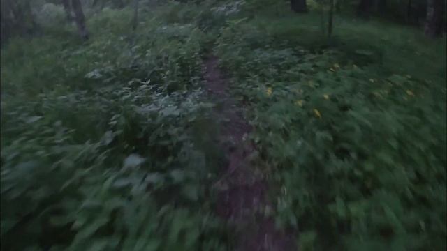 охота на кабана2022, медведь ночью приходил на зимовье, нашли корень женьшеня смотреть онлайн