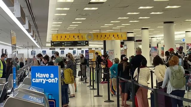 Welcome to Miami International Airport смотреть онлайн