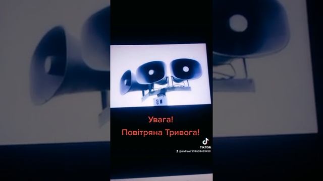 В мире кошек СИРЕНА. Воздушная тревога ??