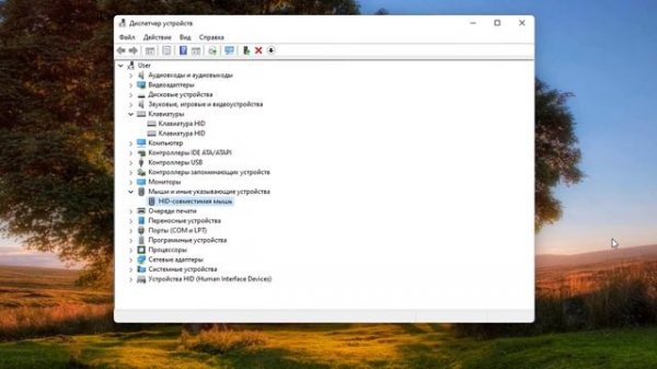 Как включить вывод из спящего режима и гибернации мышкой и клавиатурой в Windows 11