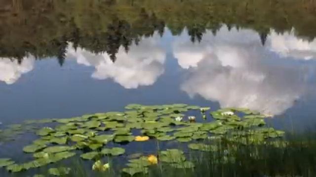 Жила бы деревня моя! смотреть онлайн