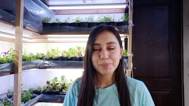 что НУЖНО УСПЕТЬ сделать в ЯНВАРЕ? мой план работ: посев, черенкование, подкормки смотреть онлайн