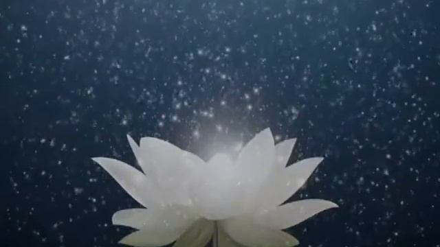 ПОЧЕМУ НЕЛЬЗЯ ХОДИТЬ К ГАДАЛКАМ..... смотреть онлайн