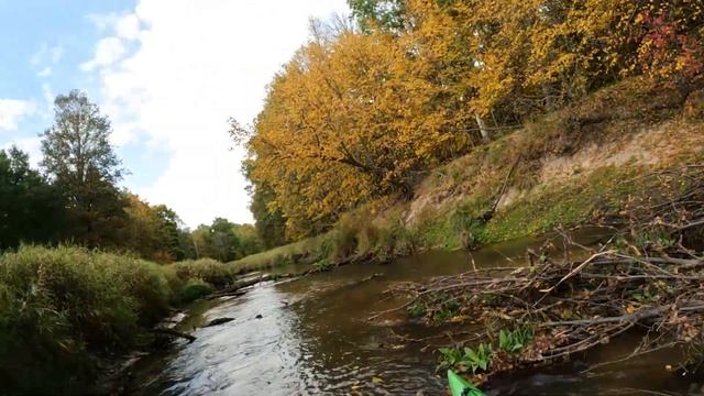 СПЛАВ НА БАЙДАРКАХ по КРАСИВОЙ, ДИКОЙ РЕЧКЕ смотреть онлайн