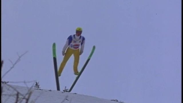 Ski Long Jumping and Ski Flying смотреть онлайн