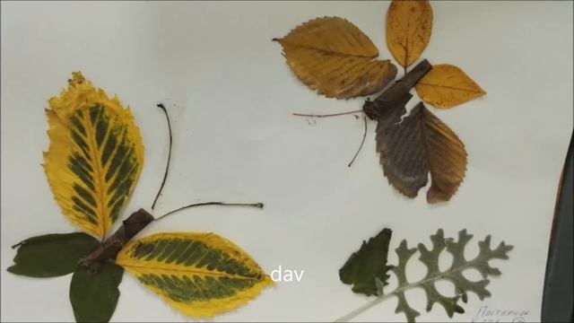 Выставка поделок "Осенний вернисаж" (2016) смотреть онлайн