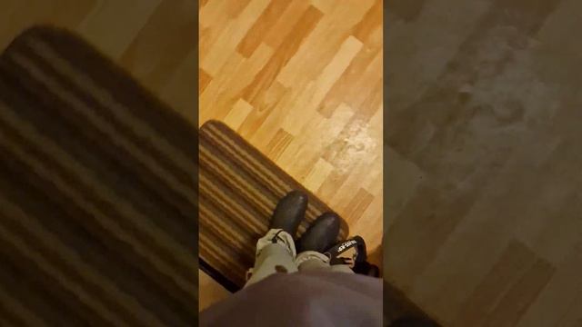 Амстафф Локи 3 года | Радости Полные Штаны | Стаффорд | Amstaff Loki смотреть онлайн