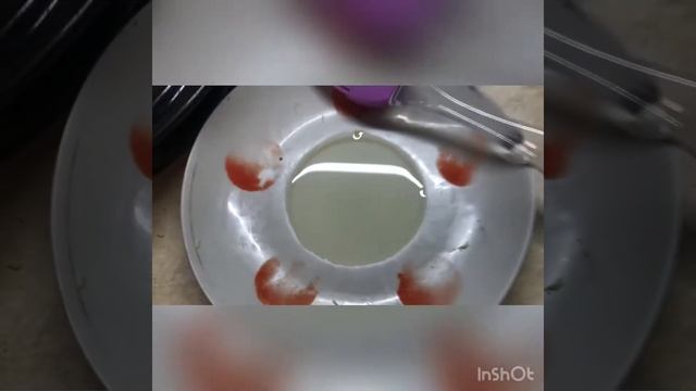 Тыква с сыром. Осенние блюда. Дары осени. смотреть онлайн