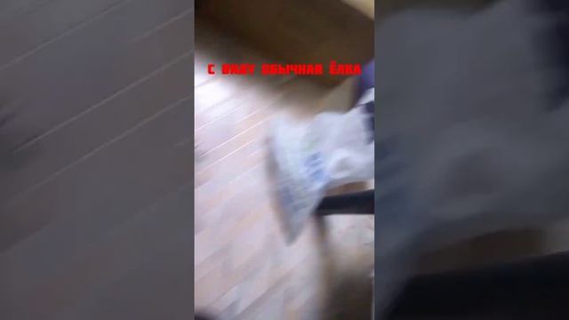 с виду обычная ёлка... смотреть онлайн