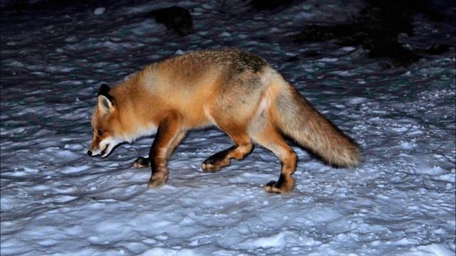 Там в облаках огромная гора смотреть онлайн