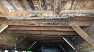 Ферма в Германии   Сельское хозяйство в Европе