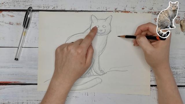 Как нарисовать кошку легко и просто поэтапно карандашом шаг за шагом смотреть онлайн