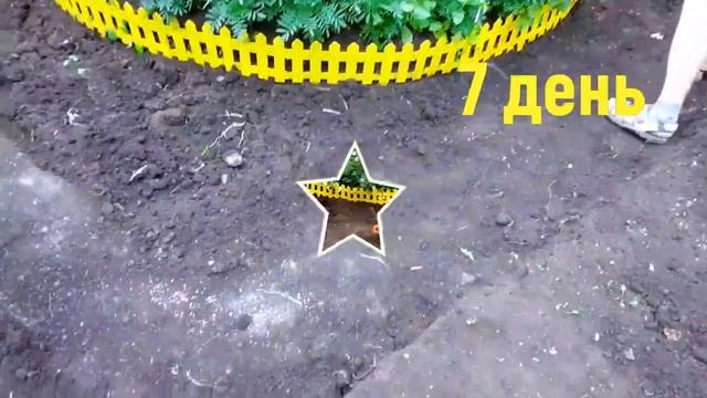Как положить тротуарную плитку на песок. смотреть онлайн