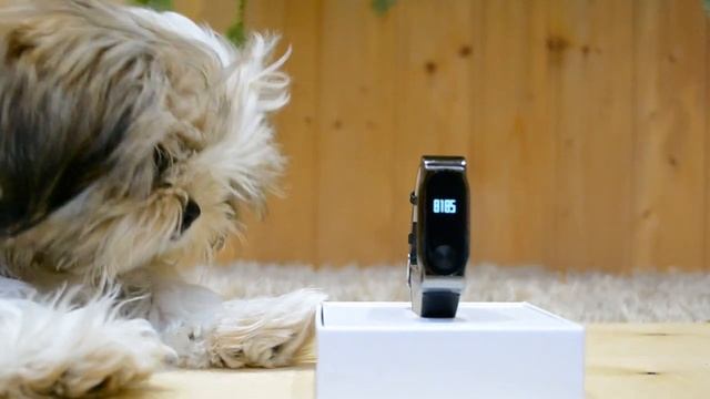 Xiaomi Mi Band 2. смотреть онлайн