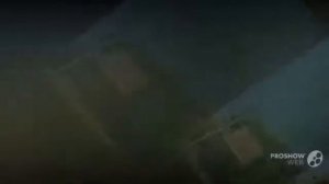 отели египта с сеткой от акул